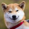 山之一霄's profile picture