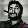 Yousif Alahmad's profile picture