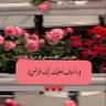 Rawan 🌨️'s profile picture
