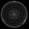 AccidentalMeditation 的头像