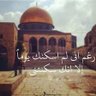 Obaida's profile picture
