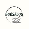BorsaLog profil fotoğrafı