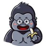 ケンゴリ🍌's profile picture