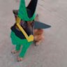 Profilbild von J. S