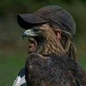 krar_1998 profil fotoğrafı
