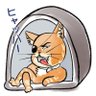🐈⬛✨Anri🐈∵⃝⍢⃝'s profile picture