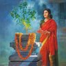 Sanatani NRI 的头像
