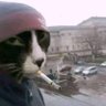 Young Ukr's profile picture