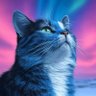 Phyllis's profile picture