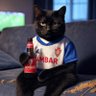 Miau profil fotoğrafı
