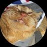 Profilbild von bielada