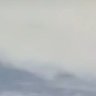 Kamikaze's profile picture