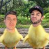 patos do heg's profile picture