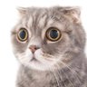 🤩 profil fotoğrafı
