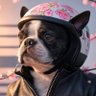 Profilbild von ディータイプ
