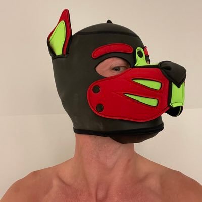 _pup_sunny_'s profile picture