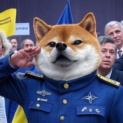 Schwurbelhunter 🇺🇦 Nafo 🎗️'s profile picture