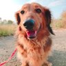 yu profil fotoğrafı
