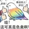 宫本永次又带刀's profile picture