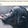 Profilbild von Rungu ya Murima