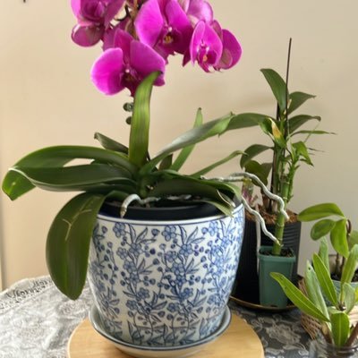 晴天's profile picture