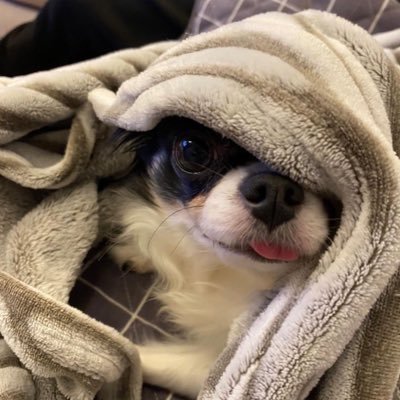 ํ์ฐ's profile picture