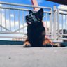 nonia saker profil fotoğrafı