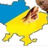 Volya's profile picture