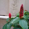 ৪০+ বটম চাই's profile picture