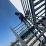 Jay's profile picture