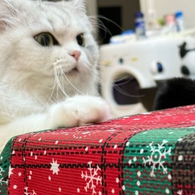 Nini89's profile picture