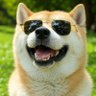 El perro que ríe del 55,69%'s profile picture