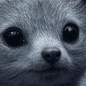 Profilbild von 来世