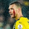Ferdi Yavuz's profile picture