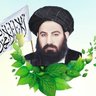 حافظ عمر حنفي's profile picture