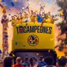 Фото профиля domingo Barrera