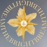 Thebrightbream's profile picture