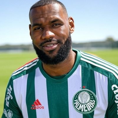 lebron james palmeirense's profile picture