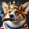 Ultra Maga Corgi King's profile picture