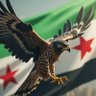 احمد's profile picture