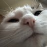 tumbao's profile picture
