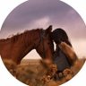 𝓜𝓐𝓝𝓐𝓡 profil fotoğrafı