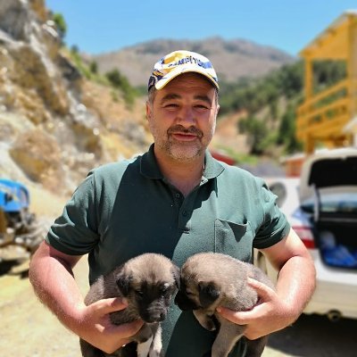 muftusami's profile picture