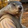 Phil profil fotoğrafı