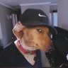 blessing caleb's profile picture