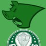 Profilbild von 💚Palmeiras de Porco e Alma🐖