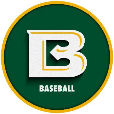 BelhavenBSB's profile picture