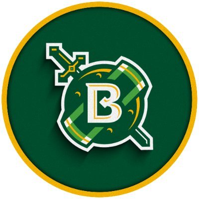 Belhaven Blazers's profile picture