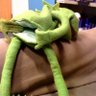 little sex worker's profile picture