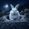BunkerRabbit profil fotoğrafı